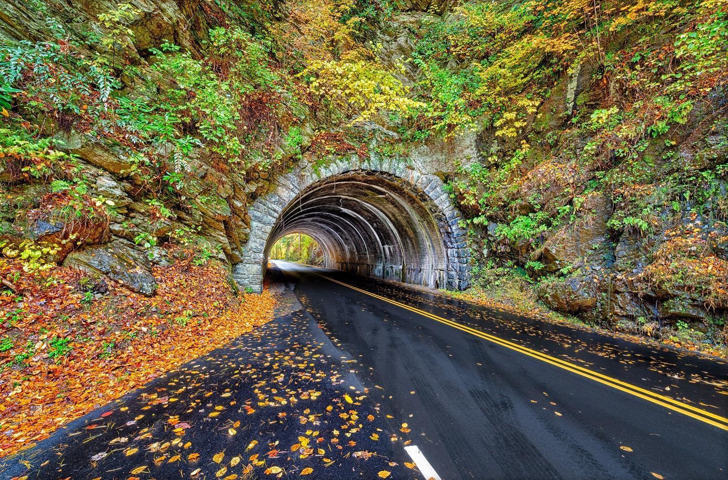 Her Majesty'S Way, Awesome Mtn Views, 1089 Free Tickets Each Paid Day, Dollywood And More Gatlinburg Exteriör bild
