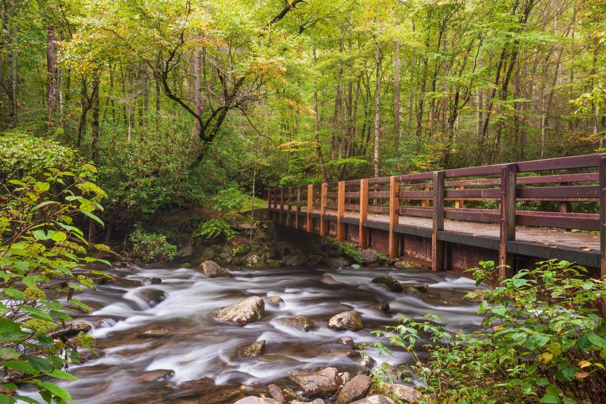 Her Majesty'S Way, Awesome Mtn Views, 1089 Free Tickets Each Paid Day, Dollywood And More Gatlinburg Exteriör bild